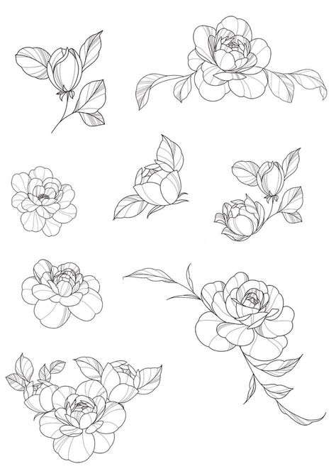 Peony Flower Line Art, Fine Line Tattoo Peony, Fineline Flowers Tattoo, Fineline Flash Tattoo, Peony Tattoo Drawing, Peony Flash, Flash Sheet Ideas, Fineline Flowers, Flower Outline Tattoo