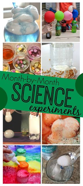 Kindergarten Science Experiments, Elementary Science Experiments, Science Experiments Kids Elementary, Science Experiments For Kids, Preschool Science Activities, Science Experiments For Preschoolers, 1st Grade Science, First Grade Science, Experiments For Kids