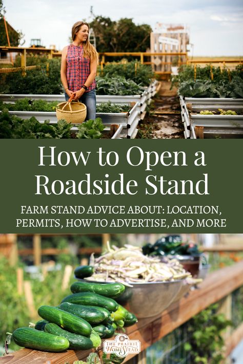 How to Open a Roadside Stand Vegetable Stands Roadside, Farm Side Hustles, Roadside Market Stand, Roadside Stand Diy, Farm Stand Shed, Farm Stand Items To Sell, Roadside Stand Ideas, Flower Stand Ideas Farmers' Market, Farm Stands Roadside