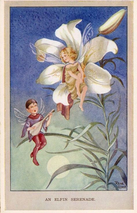 Rene Cloke, Fairy Images, Vintage Fairies, Fairies Elves, Fantasy Fairy, White Lilies, Arte Fantasy, Fairy Land, Photo Postcards