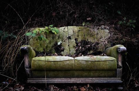 Easy Ways To Enhance the Look of An Old Sofa Generation Pictures, Bizarre Pictures, Old Sofa, Mind Relaxation, Photo Website, Button Picture, Perfect Image, Public Domain Images, Nature Images