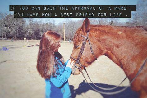 The love of a mare is infinite #chestnutmare #horses #mares Mare Quotes Horses, Mare Memes, Mare Quotes, Equestrian Humor, Equestrian Riding Clothes, Horses Quotes, Funny Horse Memes, Horse Humor, Horse Memes