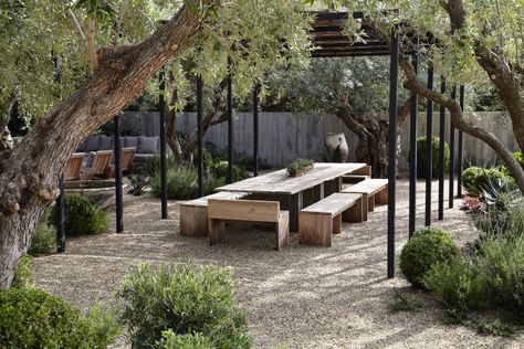 The Modernists of the past century were optimists. They believed that better gardens meant better living. They helped invent the idea of the friendly garde Scott Shrader, Moderne Have, Gravel Landscaping, Gravel Patio, Gravel Garden, Specimen Trees, Olive Trees, Pergola Patio, Garden Structures