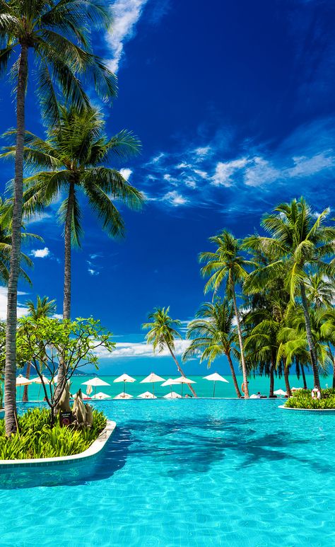 Infinity Swimming Pool, Beach With Palm Trees, Summer Clouds, Beautiful Beach Pictures, Dream Vacations Destinations, Exotic Places, Caught On Camera, Dream Beach, Fesyen Rambut