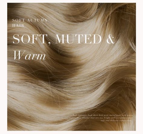 Hair Color Analysis, Soft Autumn Makeup, Autumn Story, Skin Palette, Soft Autumn Palette, Low Maintenance Short Haircut, Hair Color Guide, Soft Autumn Color Palette, Autumn Skin