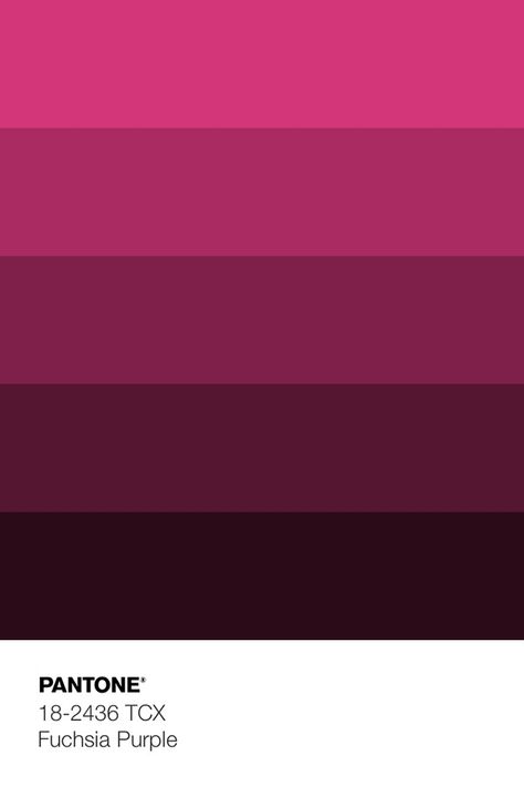 Majenta Color Pallete, Dark Magenta Color Palette, Dark Pink Pallete Color, Magenta Color Pallete, Pink Winter Color Palette, Dark Pink Colour Palette, Fusia Pink Color Palette, Dark Pink Palette, Fuschia Palette