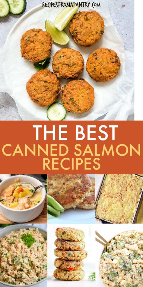 Salmon Macaroni Salad, Pink Salmon Recipes, Sockeye Salmon Recipes, Canned Salmon Salad, Salmon Stir Fry, Salmon Sushi Rolls, Salmon Soup, Canned Salmon Recipes, Bbq Salmon