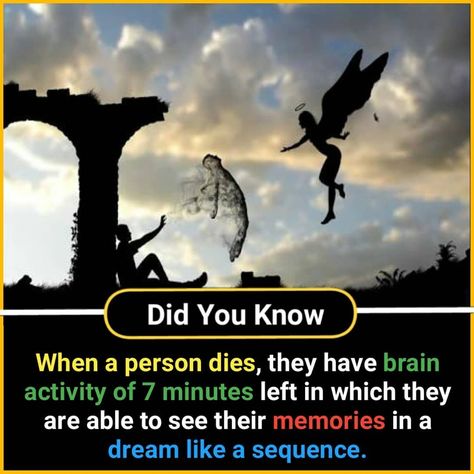 Paranormal Facts, Physcology Facts, Wierd Facts, Physiological Facts, Psychological Facts Interesting, Interesting Science Facts, Brain Facts, True Interesting Facts, Interesting Facts About World