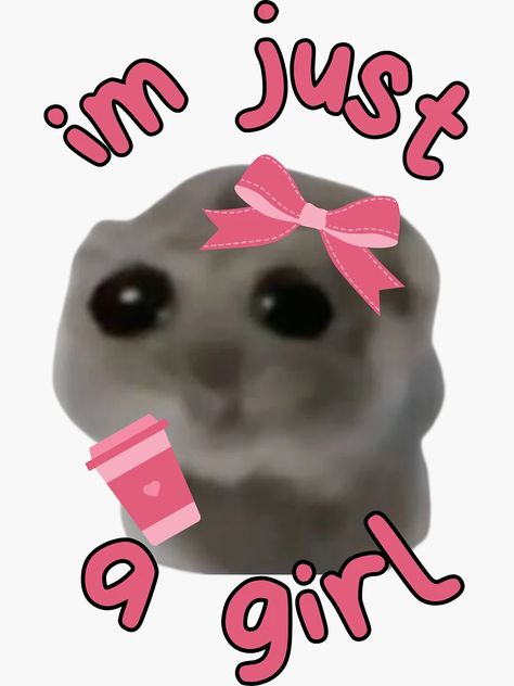 "I'm just a girl Meme Hamster" Sticker for Sale by otyliadesign | Redbubble Cardi B Funny Face, Hamster Sticker, Im Just A Girl, Just Girl, Girl Meme, I'm Just A Girl, Meme Stickers, About Time Movie, Girl Stickers