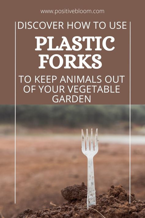 Discover how to use plastic forks to keep animals out of your vegetable garden. Learn why animals hate these utensils and some other natural ways to repel animals. Best Way To Keep Animals Out Of Garden, Irish Spring Soap, Plastic Forks, Gardening 101, Garden Animals, Garden Help, Planting Vegetables, Veggie Garden, Forks