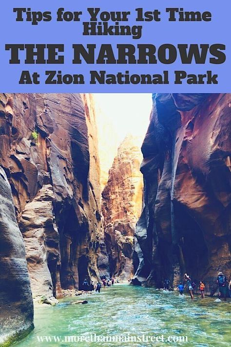 Nervous about hiking the Narrows at Zion National Park? I was! Almost anyone can do The Zion Narrows Day Hike! Find out what you REALLY need to know before you go! #zionnationalpark #narrows #hiking #utah #nationalpark #usatravel Hikes In Zion National Park, Zion Narrows, Zion National Park Photography, Hiking The Narrows, National Parks America, The Narrows, Utah Road Trip, Zion National Park Utah, National Parks Photography