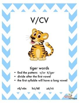 Vce Syllable Anchor Chart, Vccv Syllable Anchor Chart, Teaching Decoding Multisyllabic Words, Cv Pattern, Dividing Words Into Syllables, Dividing Syllables, Division Posters, Syllable Division, Orton Gillingham Lessons