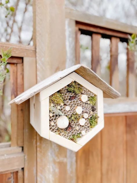 Mason Bee House Diy, Mason Bee House, Cool Things To Build, Bee Houses, Bird Houses Ideas Diy, Bee Hotel, Insect Hotel, Bug Hotel, Mason Bees