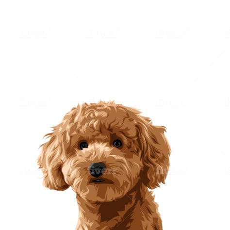 Poodle Illustration Cartoon, Cockapoo Cartoon, Toy Poodle Illustration, Poodle Painting, Poodle Illustration, Poochon Dog, Poodle Drawing, Royal Pet Portrait, Poddle