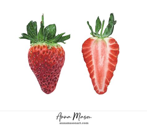 Dissected Strawberry - Anna Mason Art Watercolor Realism, Strawberry Tattoo, Anna Mason, Watercolor Tips, Toni Morrison, Watercolor Fruit, Vibrant Watercolor, Strawberry Fields, Botanical Painting