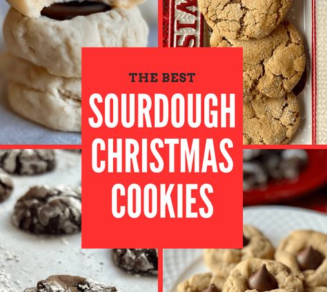 Sourdough Christmas, Sourdough Muffins, Sourdough Starter Discard Recipe, Christmas Cookie Recipes, Baking Items, Cinnamon Chips, Sourdough Discard, Caramel Pecan, Peanut Butter Cookie Recipe