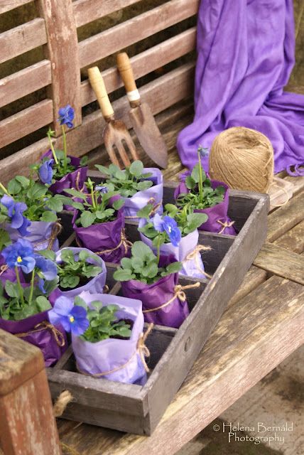 Purple Garden, All Things Purple, Deco Floral, Country Gardening, Dream Garden, Pansies, Cottage Garden, Garden Inspiration, Farmers Market