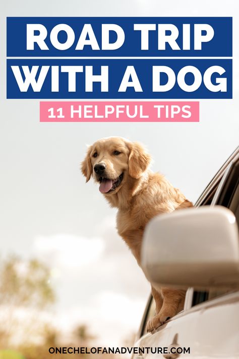 Planning a road trip with your dog? Here are 11 tips to make a long car trip with your pup more enjoyable and safe! // Dog travel tips, road trip tips, traveling with dog, dog road trip, road tripping with dog, long car ride with dog Hotel Packing List, Traveling With Dog, Dog Packing List, Road Trip With Dog, Traveling With Dogs, Traveling With Pets, Dog Travel Accessories, Visit Texas, Travel Pet