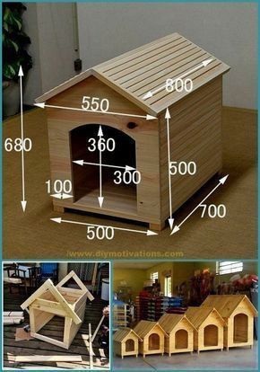 Start building with a collection of 12,000 shed plans! My Shed Plan is a complete guide that explains how you can build a beautiful shed from scratch. Given detailed blueprints and step by step instructions that even a beginner can follow. #shedhouseideas #shedbuildingplans #shed #shedbuilding #shedplans #shedhousesideas #shedding #shedhouse #shedideas #sheddesigns Pallet Dog House, Wood Dog House, Wooden Dog House, Outdoor Dog House, Dog House Plans, Cat House Diy, Pallet House, Dog House Diy, Diy Casa