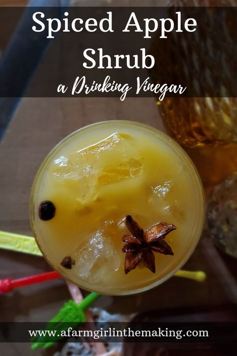 A spiced apple shrub is the perfect way to incorporate a shrub drink into the preserving schedule. Once Fall hits apple beverages are the first items which need to be preserved. This shrub drink will make the perfect cocktail any time of the year. Enjoy it! #apple #appleshrub #drinkingvinegar #applebeverage #applecocktail Apple Cider Vinegar Shrub, Fall Shrub Drink, Shrub Drink Recipes, Shrubs Drink, Apple Shrub Recipe, Apple Shrub, Recipe With Apple Cider, Shrub Drink, Recipe With Apple