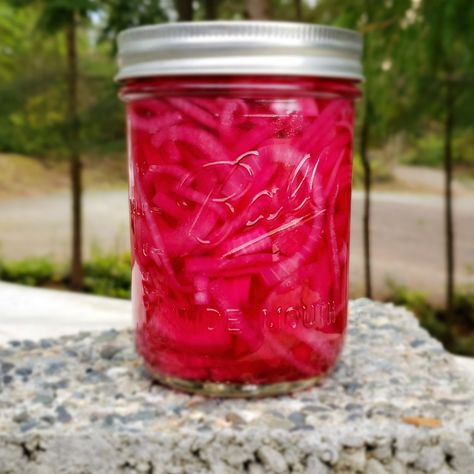 Canned Pickled Red Onions – Never Free Farm Canned Pickled Red Onions Recipe, Water Bath Canning Pickled Red Onions, Pickled Onions For Canning, How To Can Pickled Red Onions, Canned Pickled Red Onions, Canning Onions, Pickeled Red Onions, Easy Pickled Red Onions, Picked Red Onions