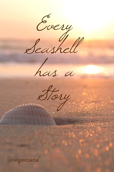 Every Seashell has a Story...collect sea shells from every beach... so far I have Jamaica, Cabo and Cancun great memories!!!! Ocean Quotes, I Love The Beach, Sanibel Island, Beach Quotes, Salt Life, Beach Time, Sunset Beach, Beach Bum, Best Vacations