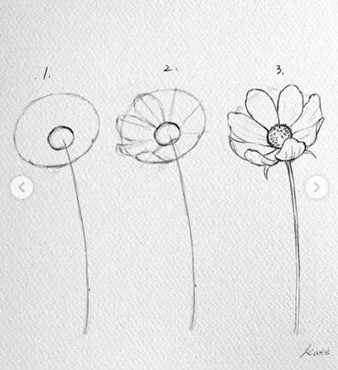 Flowers Easy, Flower Drawing Tutorials, Desain Quilling, Drawing Lesson, Flower Art Drawing, Korean Artist, Art Drawings Simple, الرسومات اللطيفة, Art Drawings Sketches