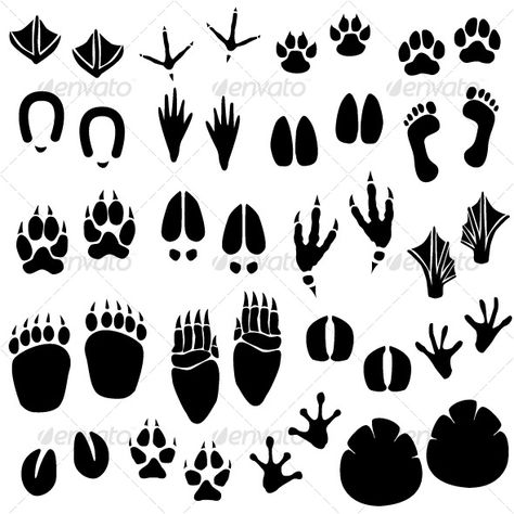 Animal Footprint Track Vector_Purchase : http://graphicriver.net/item/animal-footprint-track-vector/126546?ref=ThemeTruly Animal Footprints, Logo Animal, Animal Tracks, 로고 디자인, Animal Illustration, Icon Illustration, Icon Set, Graduation Party, Free Vector Images