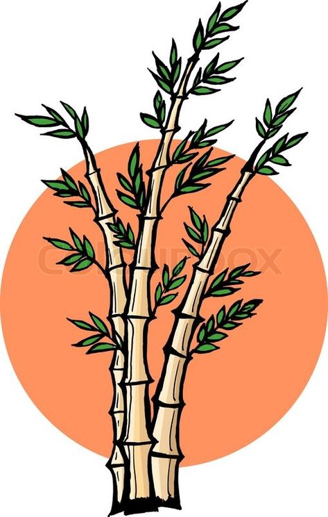 bamboo Bamboo Tree Drawing, Bamboo Doodle, Bamboo Vector, Lucky Bamboo Plants, Bamboo Tattoo, Bamboo Texture, Bamboo Garden, Lucky Bamboo, Bamboo Tree