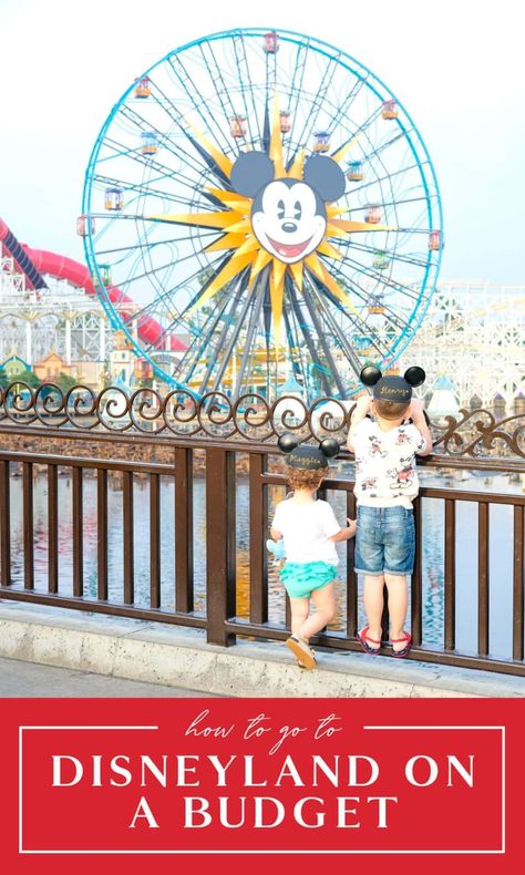 Ever wonder how to go to Disneyland on a budget? Here are eight solid tips and hacks to visit Disneyland without breaking the bank! Learn about everything from free things to affordable food, hotelshacks, and tricks to make it affordable. Disneyland Budget, Disneyland On A Budget, Disneyland Hacks, Pictures Of Beautiful Places, Cali Trip, Disneyland Tips, Disneyland Trip, How To Go, Free Things