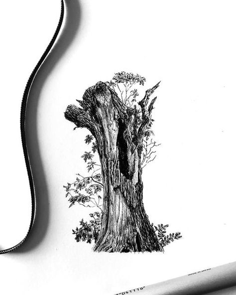 PENART | Henk-Jan Hospes on Instagram: "A close up tree drawing for today. As much as I love drawing whole trees with lots of leafs, I also love drawing trees where you can see all the details and branches. So here’s a beautiful broken tree trunk, I hope you like it!😊 . . . . #penandink #penandinksketch #penandinkdrawing #pendrawing #pensketch #penart #penartist #penandinkart #inkart #inkartist #inkdrawing #inksketch #treedrawing #treesketch #treetrunk #naturedrawing #naturesketch #landscapedra Tree Trunk Drawing, Drawing Trees, Dry Tree, Nature Sketch, Tree Sketches, I Love Drawing, Random Images, Sketches Simple, Love Drawing