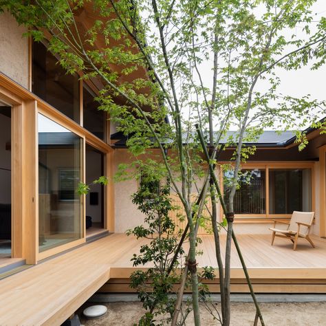 courtyards takashi okuno hiiragis house japan japanese house Houses In Japan Modern, Japanese Courtyard House, Japanese Courtyard, Japanese Modern House, Modern Japanese House, Mexican Hacienda, Japanese Home Design, Japanese Style House, Traditional Japanese House