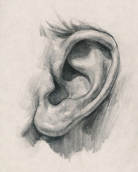 #portrait #drawing #tutorial How To Draw Ears, Desen Realist, Ear Art, Výtvarné Reference, Human Anatomy Art, Anatomy Sketches, 인물 드로잉, Arte Sketchbook, Anatomy Drawing