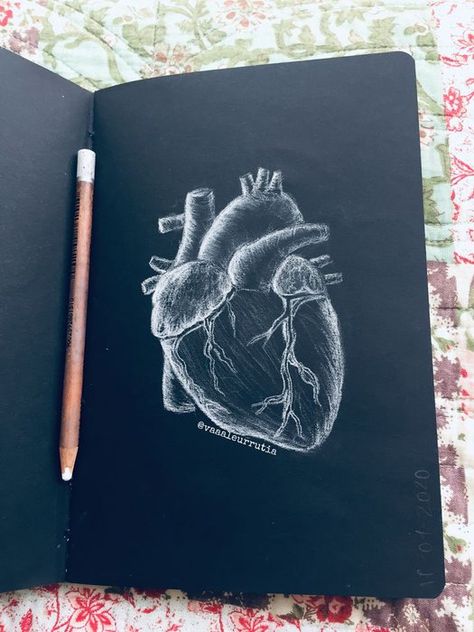 17 Easy Things to Draw with Colored Pencils Drawing Ideas In Black Paper, Sketches In Black Paper, Black Book Drawing, Black Heart Painting, Black Sketch Book Ideas, Draw On A Black Paper, Drawing On A Black Paper, Black Paper Art Ideas Creative, What To Draw On Black Paper