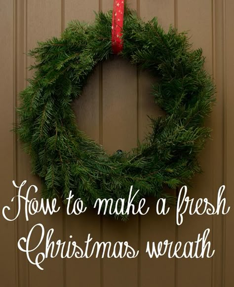 How to Make a Live Christmas Wreath Tutorial! From overthebigmoon.com! Live Christmas Wreath, Live Christmas Wreaths, Real Christmas Wreaths, Crockpot Christmas, Christmas Reef, Homemade Christmas Wreaths, Fresh Christmas Wreath, Living Wreath, Real Christmas