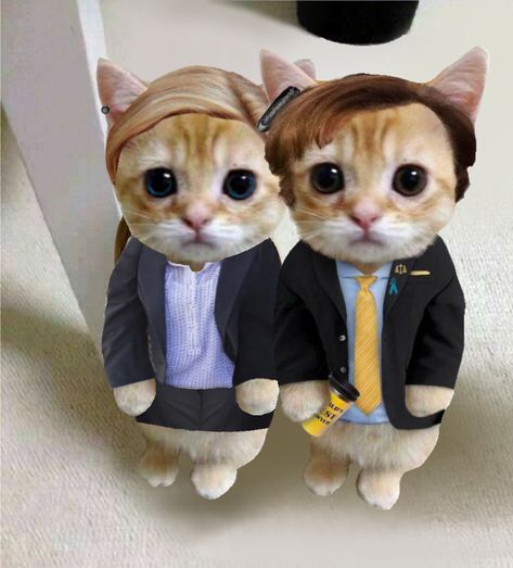 Saul And Kim Matching Icons, Kim And Saul Matching Icons, Saul Goodman Edit, Kim And Saul, Saul And Kim, Saul Kim, Cats Mood, Sticker Whatsapp, Mood Meme