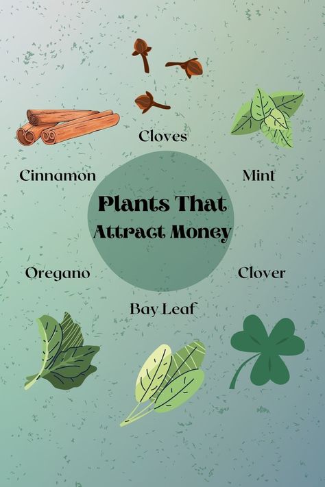 Herbs For Luck And Money, Spell For Luck And Money, Herbs That Attract Money, Herbs For Financial Abundance, Money Attracting Herbs, Prosperity And Abundance Spell Jar, Flowers For Abundance, Herbs For Prosperity Money, Herbs For Money Witchcraft