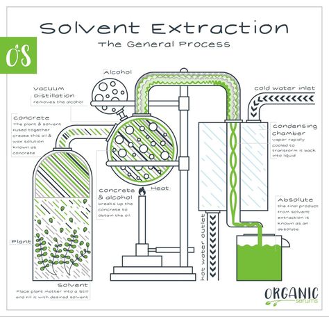 Oil Distiller, Chemistry Lab Equipment, Oil Extraction, Essential Oil Distiller, Essential Oil Extraction, Making Essential Oils, Essential Oils Guide, Endocannabinoid System, Steam Distillation