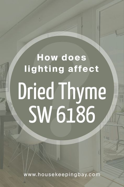 How Does Lighting Affect Dried Thyme SW 6186 by Sherwin Williams? Green Trance Sherwin Williams, Sherwin Williams Thyme Green, Softened Green Sherwin Williams Kitchen, Sherwin Williams Dried Thyme Bedrooms, Dried Thyme Paint Color, Rosemary Sherwin Williams Bedroom, Sherwin Williams Dried Thyme Cabinets, Sherwin Williams Kitchen Colors, Sw Dried Thyme Cabinets