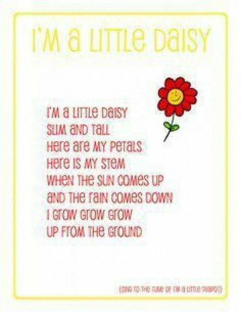 Daisy love... Plant Song, Spring Lesson Plans, Flower Parts, Preschool Spring, Spring Lessons, Circle Time Songs, Classroom Songs, Songs For Toddlers, School Songs