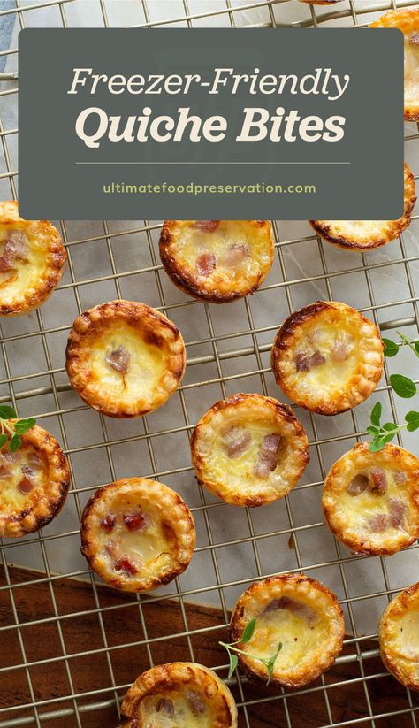 Freezer Friendly Mini Quiche, Freezer Mini Quiche, Savory Freezer Snacks, Freezable Mini Quiche, Quiche Freezer Meal, Freezable Quiche Recipes, Freezer Friendly Baking, Can You Freeze Quiche, Freezer Quiche Make Ahead