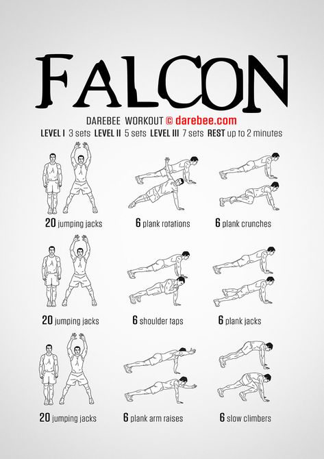 Nerdy Workout, Hero Workouts, Superhero Workout, Daily Burn, Full Body Workout Routine, Trening Fitness, The Falcon, Weight Workout Plan, Boxing Workout