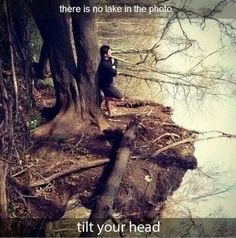 There is no lake in this picture. Tilt your head to the right, and the truth will be seen Crazy Optical Illusions, Cool Illusions, Mind Tricks, Picture Day, E Card, Optical Illusions, Mind Blown, Your Head, The Photo