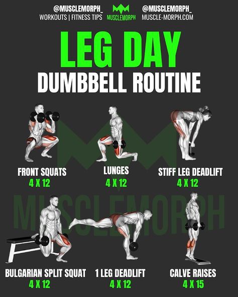 Leg Exercise With Dumbell, Leg Workout With Dumbell, Lower Body Workout Gym Men, Leg Work Out With Dumbbells, Workout Programs With Dumbbells, Dumbbell Workout Legs Dumbbells, Lower Body Dumbbell Workout Men, Legs Day Workout At Home, Leg Dumbell Workout For Men