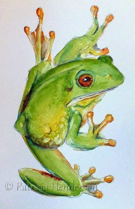 Frog Illustration, Frog Drawing, Watercolor Paintings For Beginners, Frog Art, Diy Watercolor, China Painting, A Frog, Color Pencil Art, Watercolor Inspiration