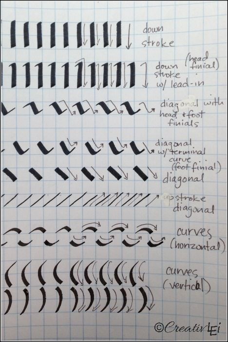 Using a calligraphy marker as a slanted pen, here are the basic strokes to practice. CreativLEI.com Basic Calligraphy, Calligraphy Markers, Calligraphy Lessons, A Calligraphy, Calligraphy Tutorial, Calligraphy Pen, Calligraphy For Beginners, Learn Calligraphy, Hand Lettering Fonts