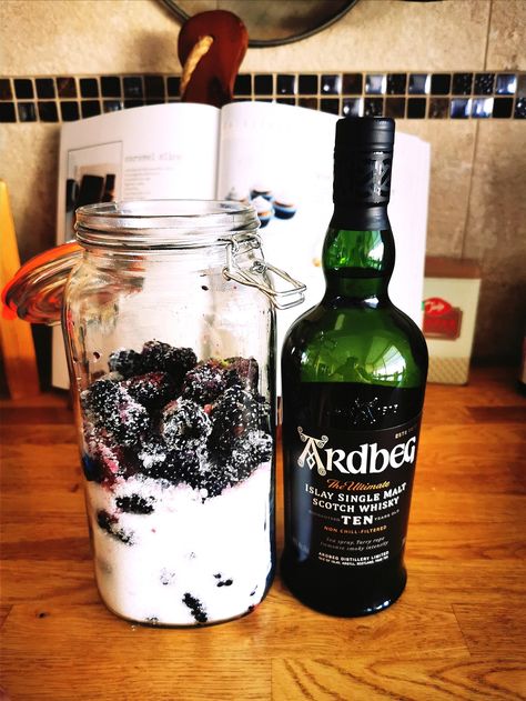 Infused Whiskey, Blackberry Whiskey, Blackberry Bourbon, Blackberry Crumble, Sloe Gin, Soju Bottle, Blackberry, Bourbon, Gin