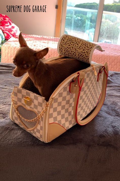 designer dog carrier Dog Purse Carrier, Large Dog Carrier, Dog Garage, Luxury Dog Carrier, Purse Dog, Cat Carriers, Designer Dog Accessories, Dog Carrier Purse, Designer Dog Carriers