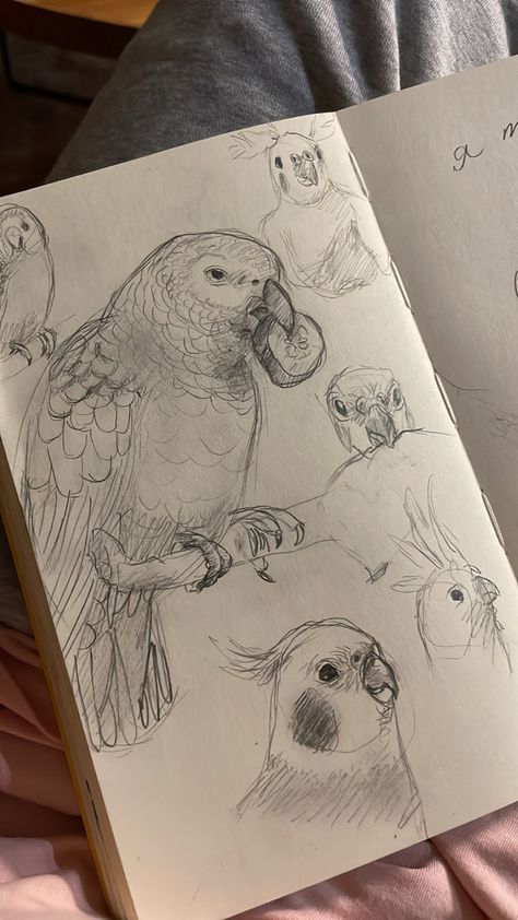 Come to see more Inst:comeanddraw_ Parrot Sketch, Bird Drawing, Sketchbook Art Journal, Seni Cat Air, Art Diary, Arte Sketchbook, Art Drawings Sketches Creative, Dessin Adorable, Sketch Painting