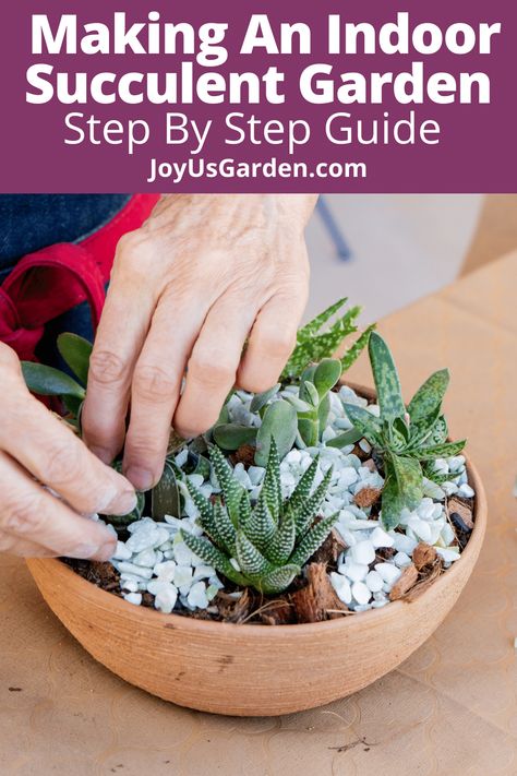 Succulent dish gardens are fun to make. Here's an indoor succulent garden DIY & as well as a succulent dish garden DIY. These indoor succulent garden ideas give you indoor succulent garden design. Find out how to make a succulent dish garden along with indoor succulent garden ideas decor. These succulent dish garden ideas are great for an indoor succulent garden table. Learn how to make succulent arrangements here. #succulentsforbeginners #succulenthomedecor Dish Garden Ideas, Indoor Succulent Garden Ideas, Succulent Dish Garden, Succulent Garden Diy Indoor, Indoor Succulent Garden, Plants 101, Succulent Garden Ideas, Cactus Landscape, Dish Gardens